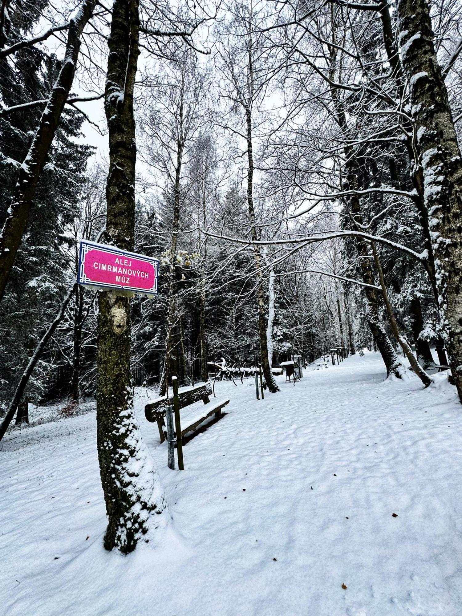 Apartman Vista Rokytnice Rokytnice nad Jizerou Esterno foto